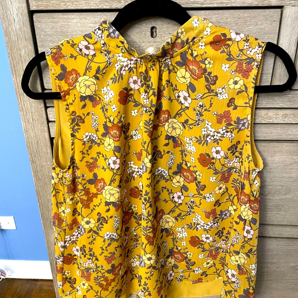 Sleeveless swing top. Bought at Anthropologie